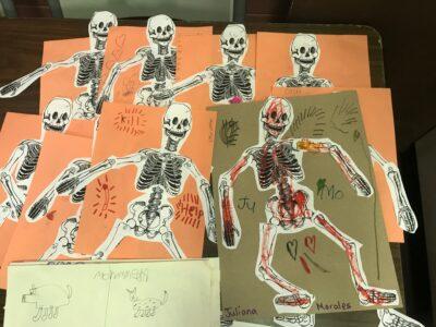 Skeletons at Towey!