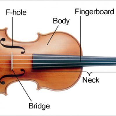 Learn These Violin Basics