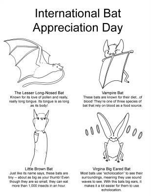 International Bat Appreciation Day