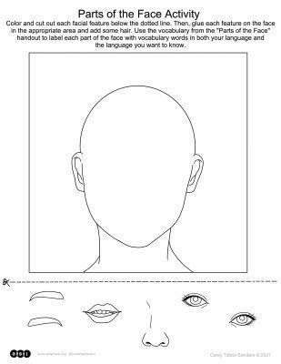 Parts of The Face Handouts