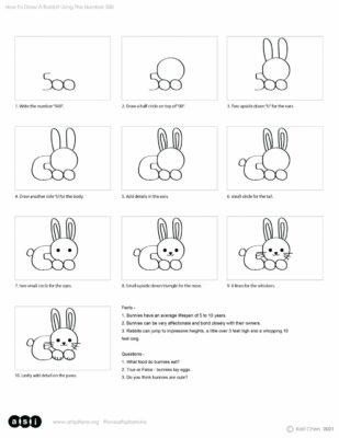Draw Your Own Rabbit