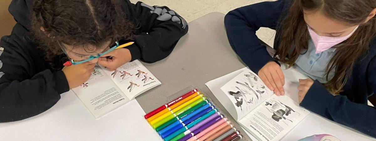 We gave students bird identification books to take home and students enjoyed reading about diverse types of ducks in anticipation of participation in the upcoming Junior Duck Stamp contest at John Heinz National Wildlife refuge. 